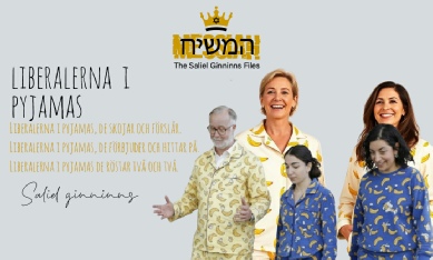 Liberalerna blogg post för hemsidan.jpg