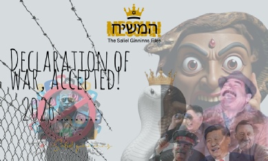 Saliel Ginninns - Declaration of war accepted.jpg